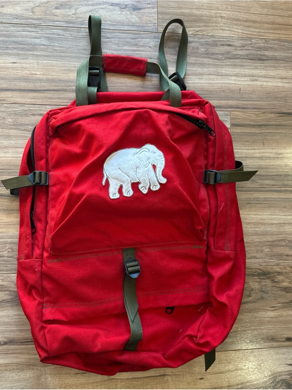 Vtg USFS Forest Service FSS Wildland Firefighter Field Pack Gear Backpack Patch